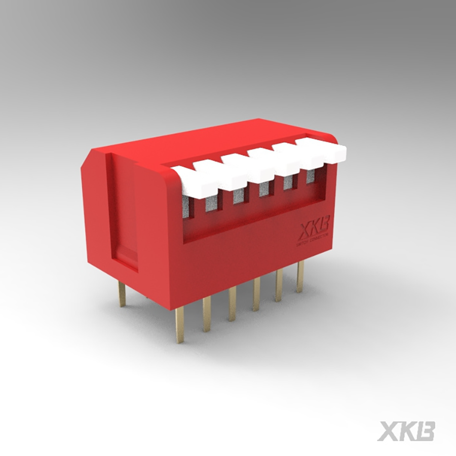 DPL-06RP-XKB Connectivity